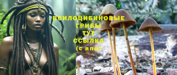 а пвп мука Балабаново