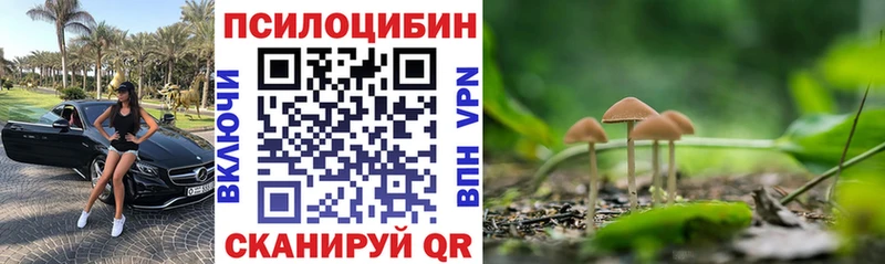 Псилоцибиновые грибы MAGIC MUSHROOMS  Стародуб 