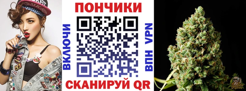Канабис семена Стародуб